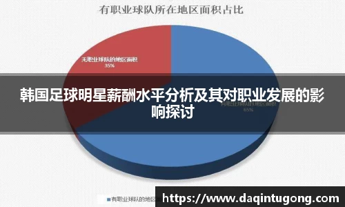 韩国足球明星薪酬水平分析及其对职业发展的影响探讨